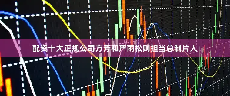 配资十大正规公司方芳和严雨松则担当总制片人