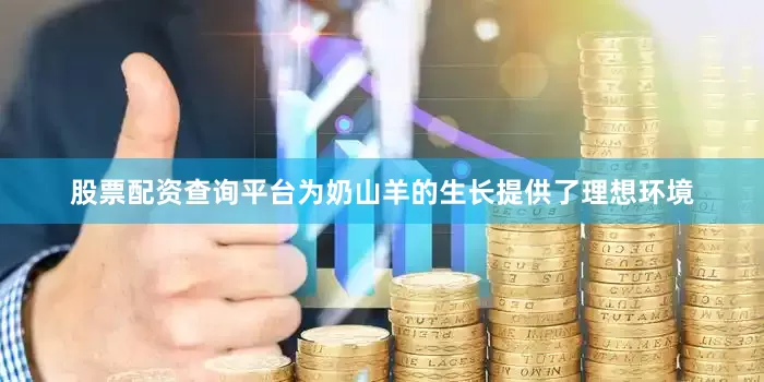 股票配资查询平台为奶山羊的生长提供了理想环境