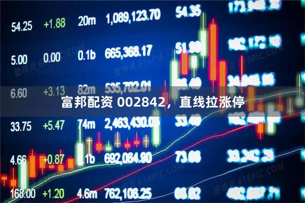 富邦配资 002842，直线拉涨停