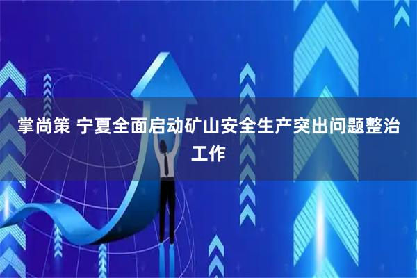 掌尚策 宁夏全面启动矿山安全生产突出问题整治工作